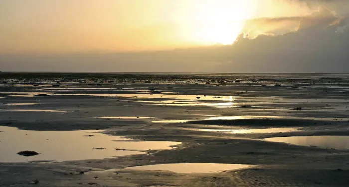 Framed Print : Waddenzee, Waddensea