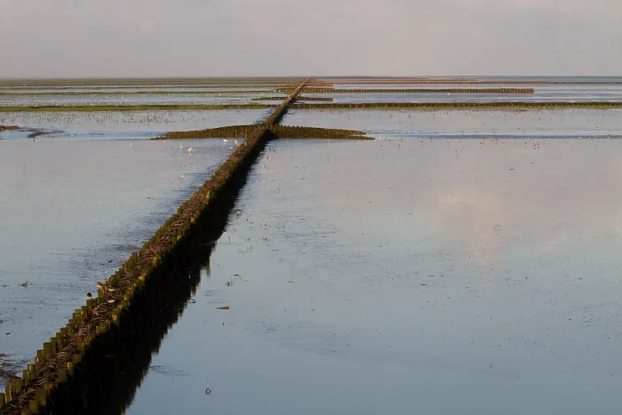 Framed Print : Waddenzee, Waddensea