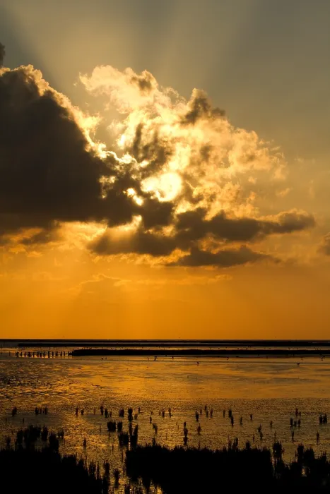 Framed Print : Waddenzee, Waddensea