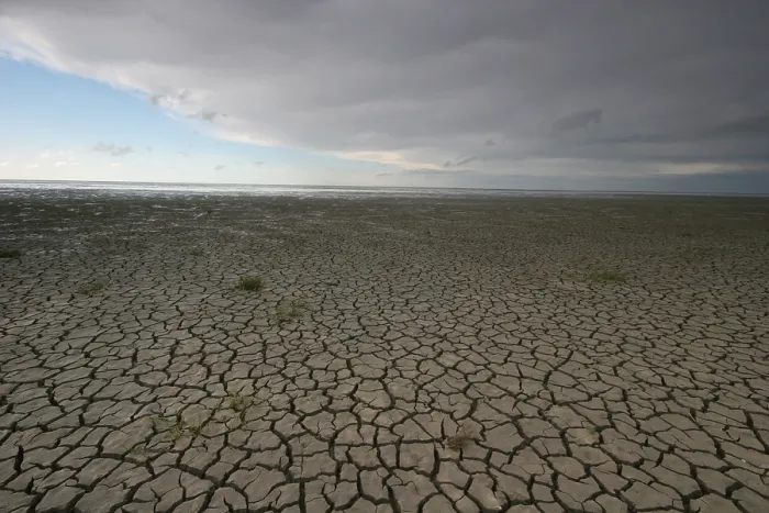 Framed Print : Waddenzee, Waddensea