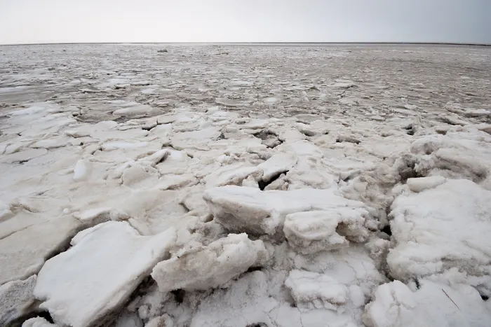 Framed Print : Waddenzee in winter