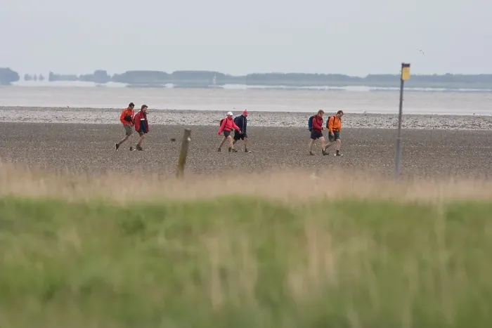 Framed Print : Wadlopen. Wadlopers komen aan op Schiermonnikoog; Pedestrians arriving on Schiermonnikoog
