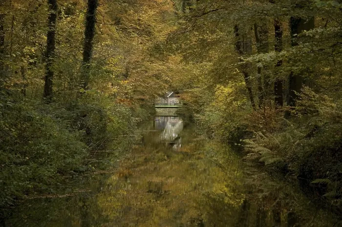 Framed Print : Weldammerbeek