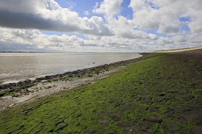 Framed Print : Westerschelde