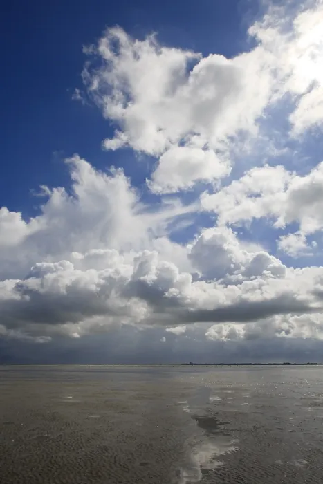 Framed Print : Westerschelde Framed Print : Westerschelde