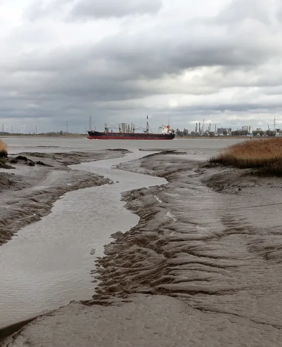 Framed Print : The Westerschelde, low tide Framed Print : The Westerschelde, low tide