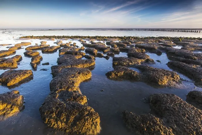 Framed Print : Wierumerwad, Waddenzee