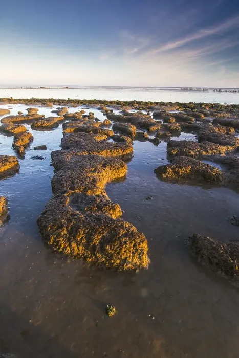 Framed Print : Wierumerwad, Waddenzee