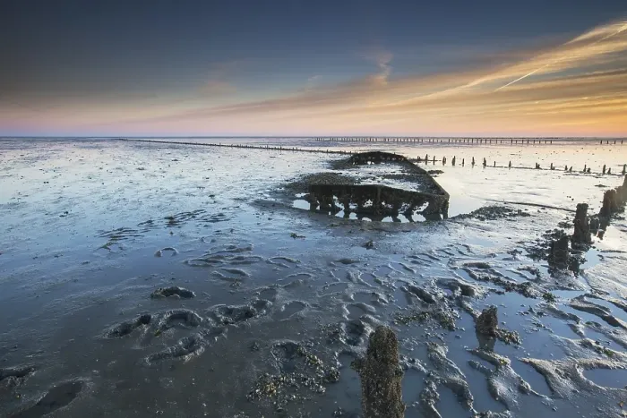 Framed Print : Wierumerwad, Waddenzee