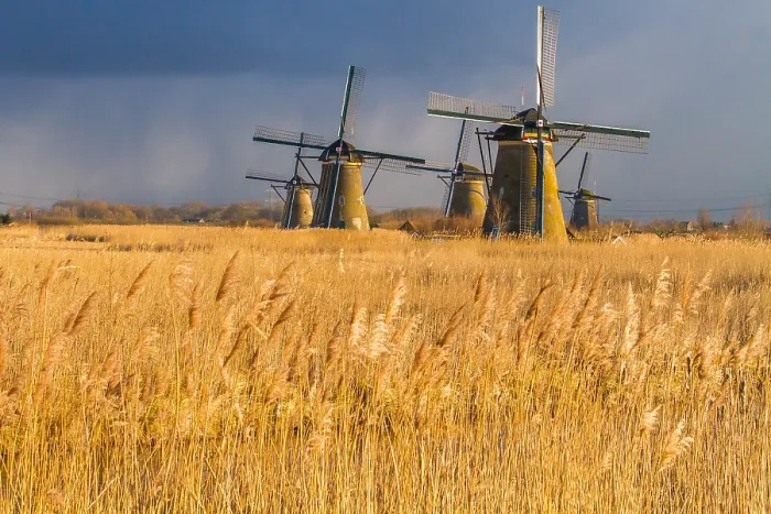Framed Print : Windmills at Kinderdijk