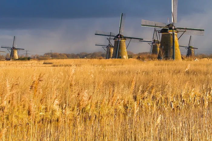 Framed Print : Windmills at Kinderdijk