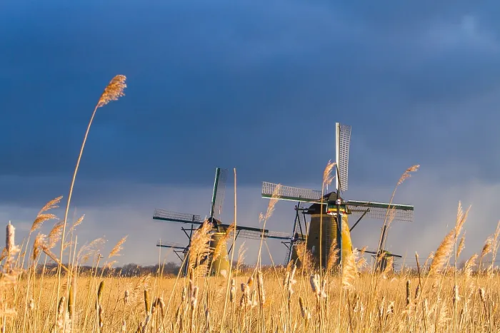 Framed Print : Windmills at Kinderdijk