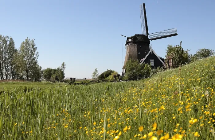 Framed Print : Windmolen, Windmill