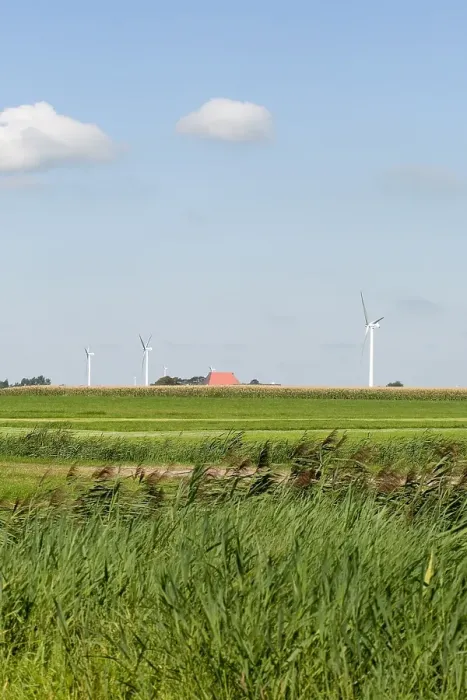 Framed Print : Windmolens, Windmills