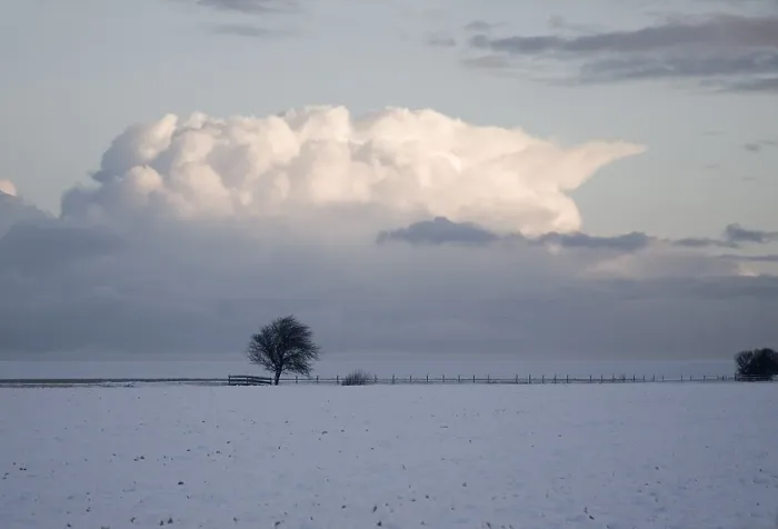 Framed Print : Winter in de Lauwers; Winter at the Lauwersmeer
