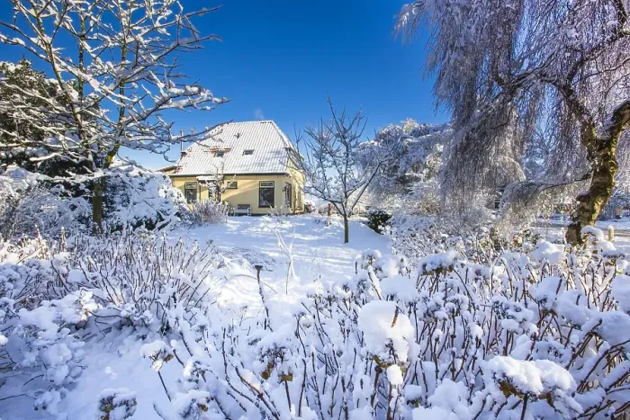 Framed Print : Winter garden