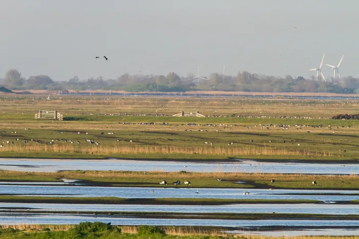 Framed Print : Workumerwaard, Netherlands