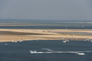Images Dated 3rd September 2005: Banc d'Arguin
