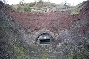 Hibernatiing Prints: Batcave;