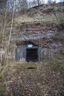 Hibernatiing Prints: Batcave;