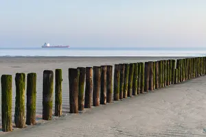 Poles Prints: Beach at Breskens in spring
