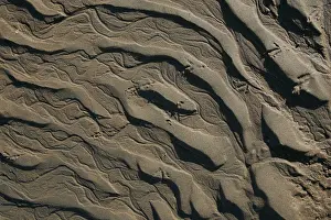 Getijde Prints: Beach, Strand
