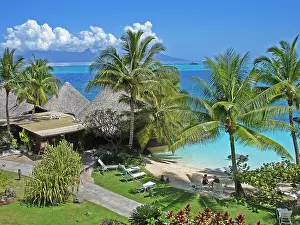 Grote Oceaan Prints: Beachcomber Polynesië, Beachcomber Polynesia