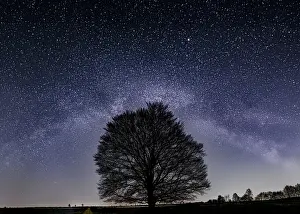 Milky Prints: Beechtree with the Milky Way