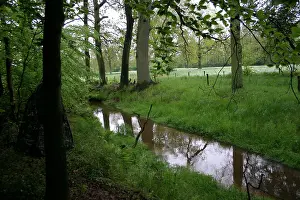 Images Dated 7th May 2004: Beek, Stream
