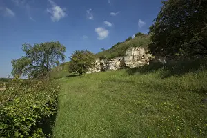Limburgs Prints: Bemelerberg