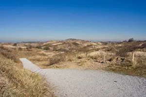 Bas Haasnoot Prints: Berkheide