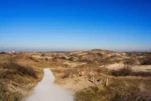 Bas Haasnoot Prints: Berkheide