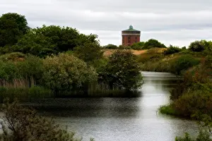 Bas Haasnoot Prints: Berkheide