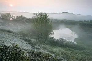Wassenaar Prints: Berkheide
