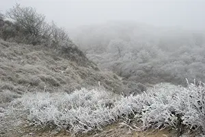 2007 Prints: Berkheide