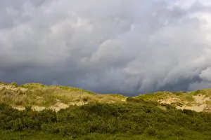 Wassenaar Prints: Berkheide