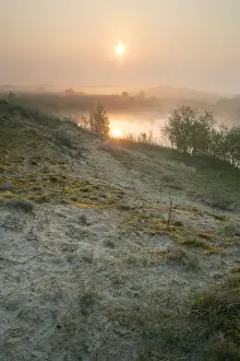 Wassenaar Prints: Berkheide
