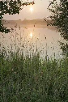 Wassenaar Prints: Berkheide