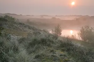 Wassenaar Prints: Berkheide