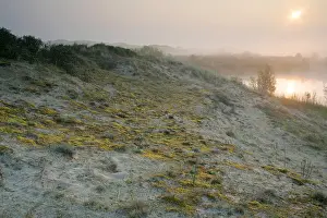 Wassenaar Prints: Berkheide