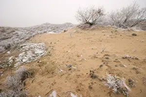 2007 Prints: Berkheide