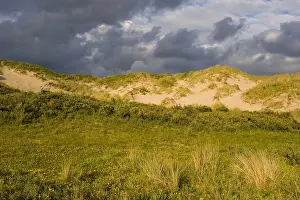 Wassenaar Prints: Berkheide