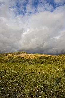 Wassenaar Prints: Berkheide