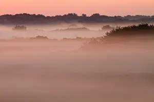 Ochtendnevel Prints: Berkheide, Berkheide