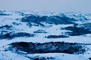 2010 Prints: Berkheide, Berkheide