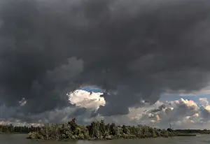 Images Dated 13th August 2019: Biesbosch