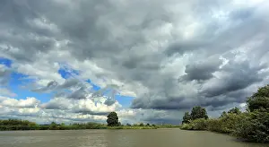 Images Dated 29th July 2015: Biesbosch