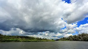Images Dated 29th July 2015: Biesbosch