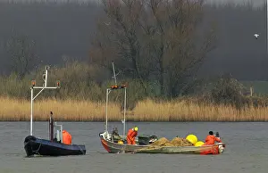 Nieuwe Prints: Biesbosch, Biesbosch