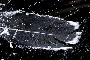 Images Dated 20th January 2019: Bird feather in ice